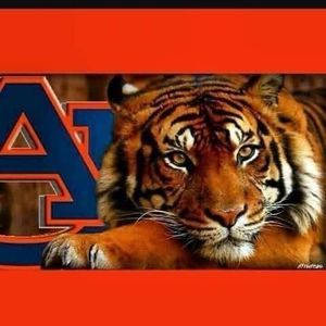 Meet your Posher, Jeremy